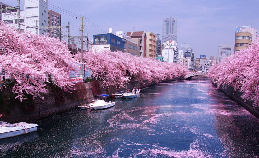 Junfukuya Apartment Osaka Ngoại thất bức ảnh